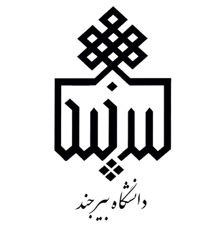 دانشگاه بیر جند 